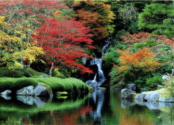古峯園の紅葉